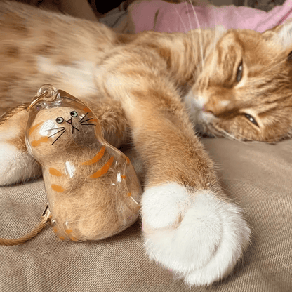 🐾1 Count Transparent Cat Hair Storage Capsule Keychain,🐱 Keepsake Decoration for Cat Lovers, 6 Cute Cat Designs Available💕
